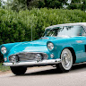 Meet your Posher, Bergen